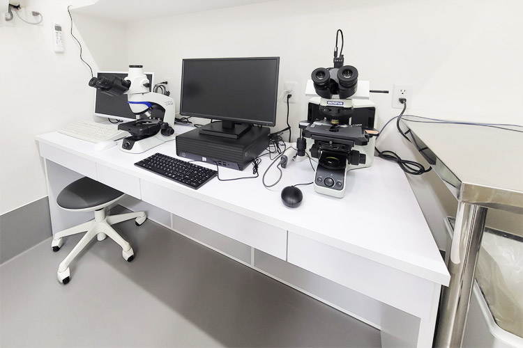 精子運動解析装置SMAS